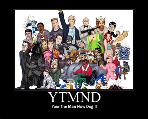 ytmnd|ytmnd dog.